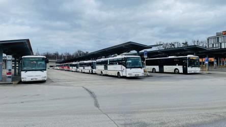 Fleet of buses