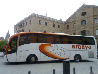 Bus side view