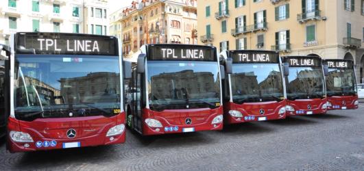Fleet of buses