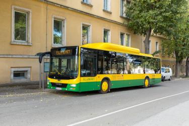 Bus Exterior