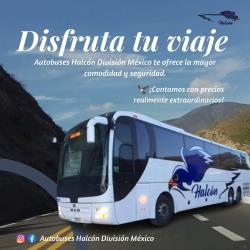 Bus exterior