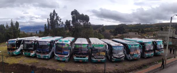 Bus fleet