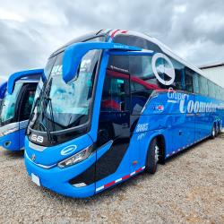 Bus exterior