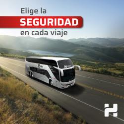 Bus exterior