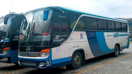 Bus front and side views