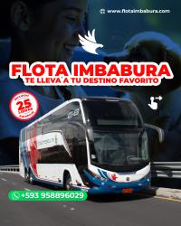 Bus front and side views