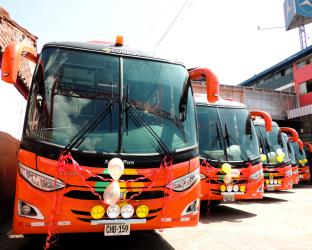 Bus fleet