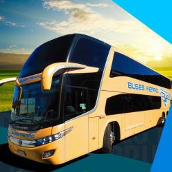Bus Exterior