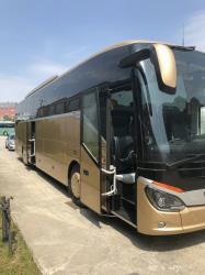 Bus Exterior