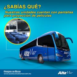 Bus exterior