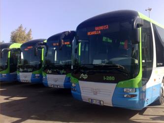 STP Brindisi buses
