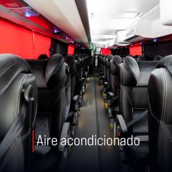 Bus Interior