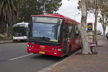 Metrobus liveried Hillsbus