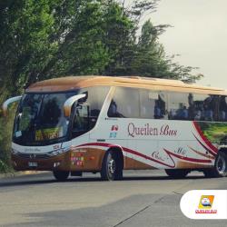 Bus exterior