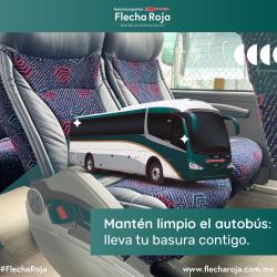Bus Interior