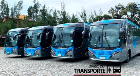 Buses exterior