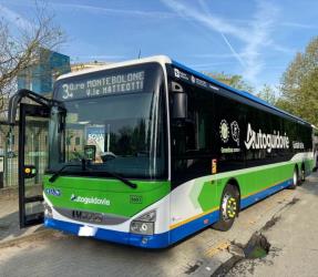 Bus exterior