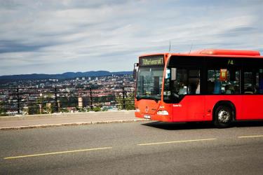 Bus
