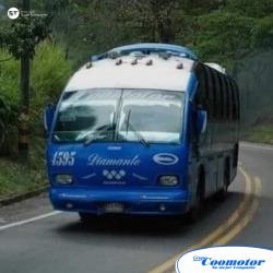 Minibus exterior