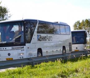 König Auto bus