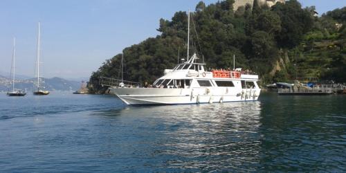 Ferry Portofino 82
