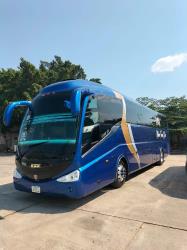 Bus exterior