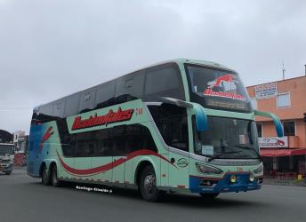 Bus exterior