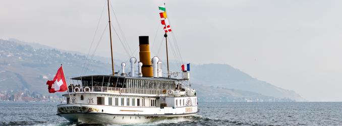 Savoie steamboat with paddle wheels