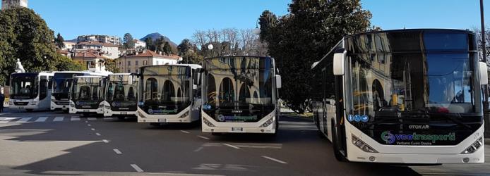 Buses front view
