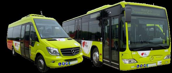 Bus Exterior
