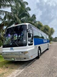 Bus exterior