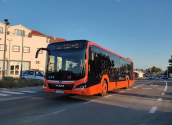 Bus Exterior