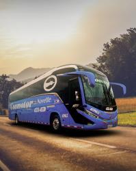 Bus exterior