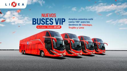 Bus Fleet Exterior