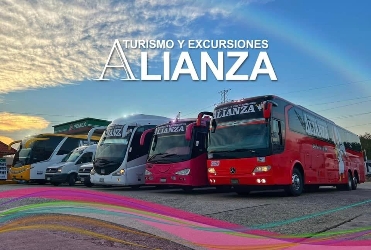 Bus Exterior
