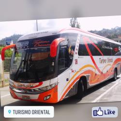 Bus front and side views