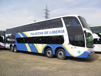 Bus exterior