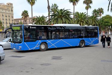 TCC Bus Exterior
