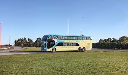 Bus Exterior