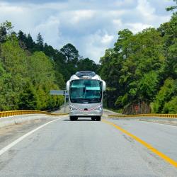 Bus Exterior