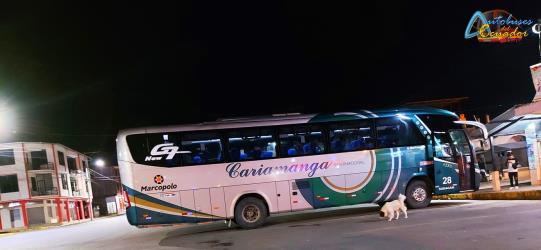 Bus side
