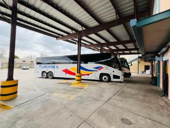 Bus Exterior