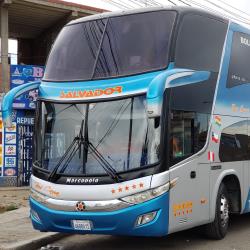 Bus Exterior