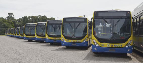 Bus Fleet