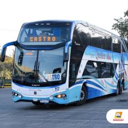 Bus exterior