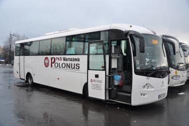 Polonus bus
