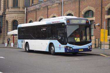 Bus in the Transport NSW livery