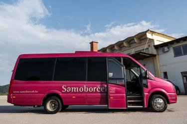 Mini Bus