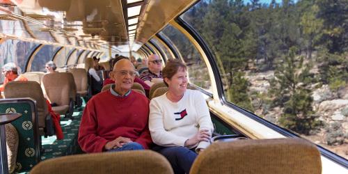 Luxury Dome car interior