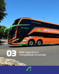 Bus exterior